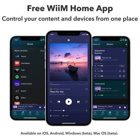 Internet radio med WiiM - Hvordan fungerer internet radio med WiiM Home ?