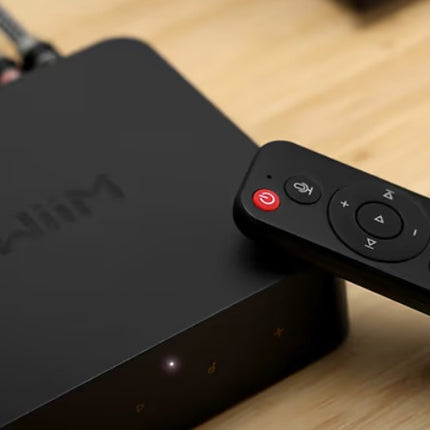 Wiim remote