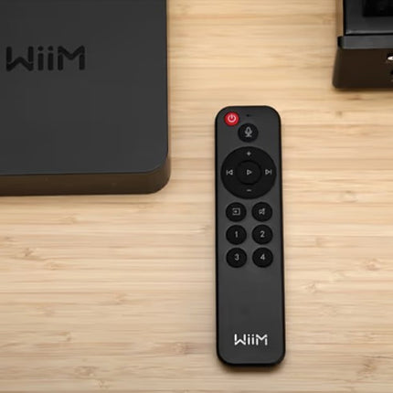 Wiim remote