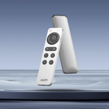 Wiim remote 2