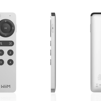 Wiim remote 2