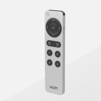 Wiim remote 2