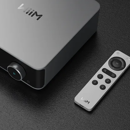 Wiim remote 2
