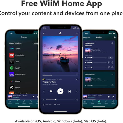 WiiM Amp Streamforstærker: multirumslyd dark grey