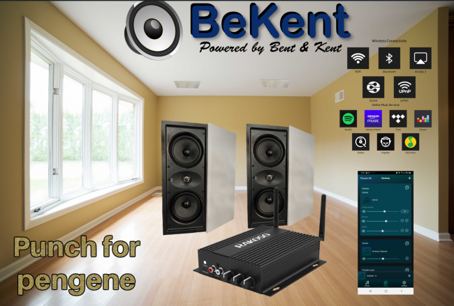 Multirums lyd systemer