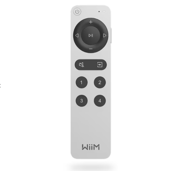 Wiim remote 2